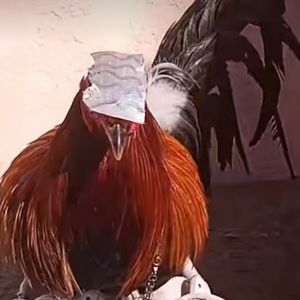 Meet your Posher, Hector